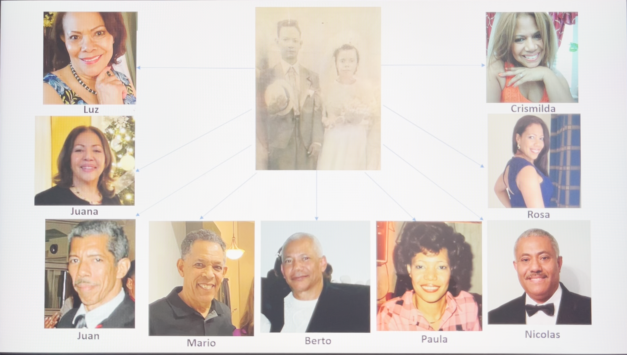 El árbol genealógico